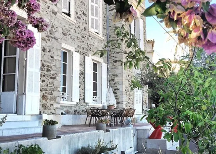 Castel Pierre Lisse Affittacamere Hyères