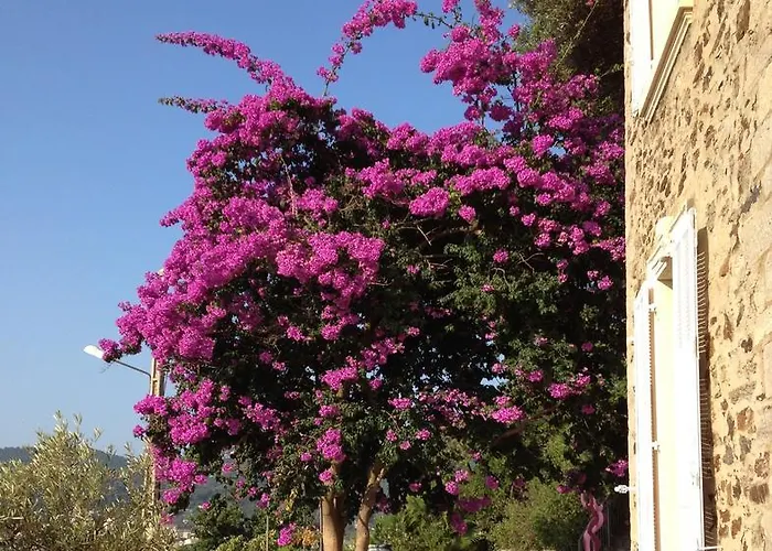 Affittacamere Castel Pierre Lisse Hyères